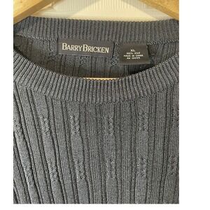 Barry Bricken‎ Textured Ribbed Knit V Neck Long Sleeve Pullover Sweater Top Silk